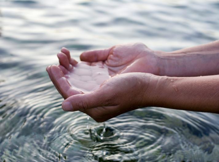 Важность воды для человека - вода в качестве незаменимой составляющей человека