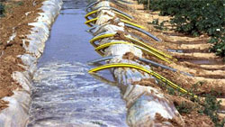 Использование воды для ирригации – мнения аналитиков рынка водоочистки. Политика страны относительно водных ресурсов в вопросе расхода пресной воды в сельскохозяйственном секторе.